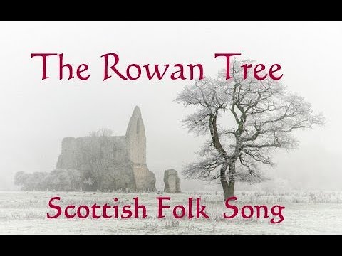 THE ROWAN TREE - Scottish Folk song