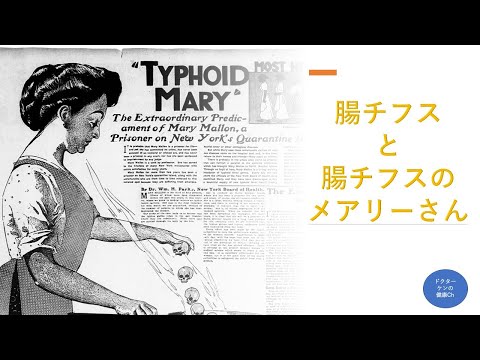 腸チフスについて詳しく解説