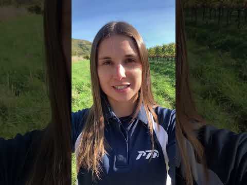 🆕 Neue Ausbildung bei der Personal Trainer Academy 🆕