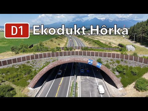 Oprava ekoduktu Hôrka na diaľnici D1 (júl 2025)