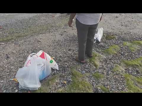 Azaiba beach fishing Oman