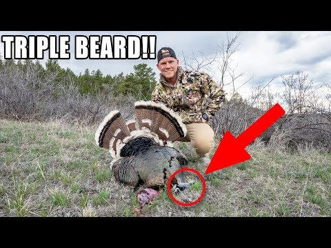 I Shot an ULTRA RARE Turkey!! (Catch Clean Cook)