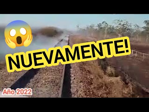 TRAZA del URQUIZA FUE AFECTADA POR INCENDIOS entre  Alvear y Torrent CORRIENTES  Urquiza Cargas TAC