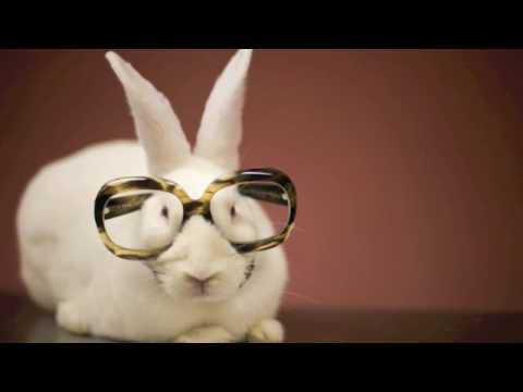 The Kenneth Bager Experience - Fragment Two (The First Picture) - 0030