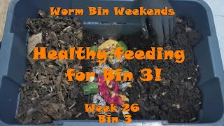 Worm Bin Weekends! Week 26 - Bin 3: Healthy feeding for Bin 3!