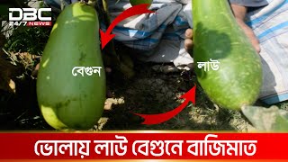 ১ বেগুনের ওজন ১ কেজি!