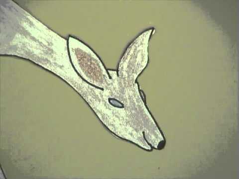 2015 09 25 Ricky   Ein kleines Reh ganz groß