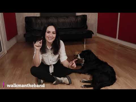 Top 10 Τραγουδιών με αναφορά στα Ζώα