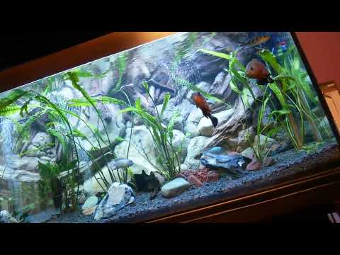 600 l aquarium All equipment, what is worth it and what I do not recommend!