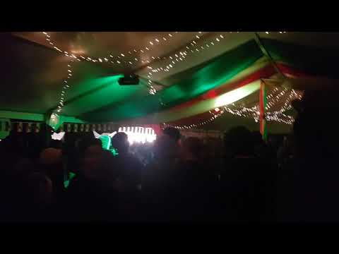 Zion Station festival 2018 - Mad Professor feat. Sister Aisha