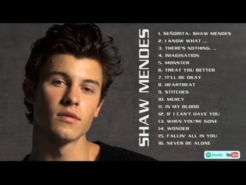 Shawn Mendes Best Playlist 2023 - Top Hits Album 2023