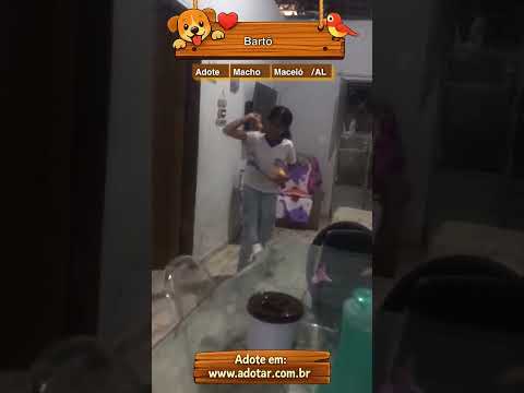 Vídeo de Bartô