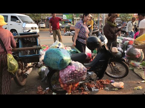 Cambodian Market Scene Compilation For Local People   Various Kinds Of Cheap Fishes For Sales In Mar