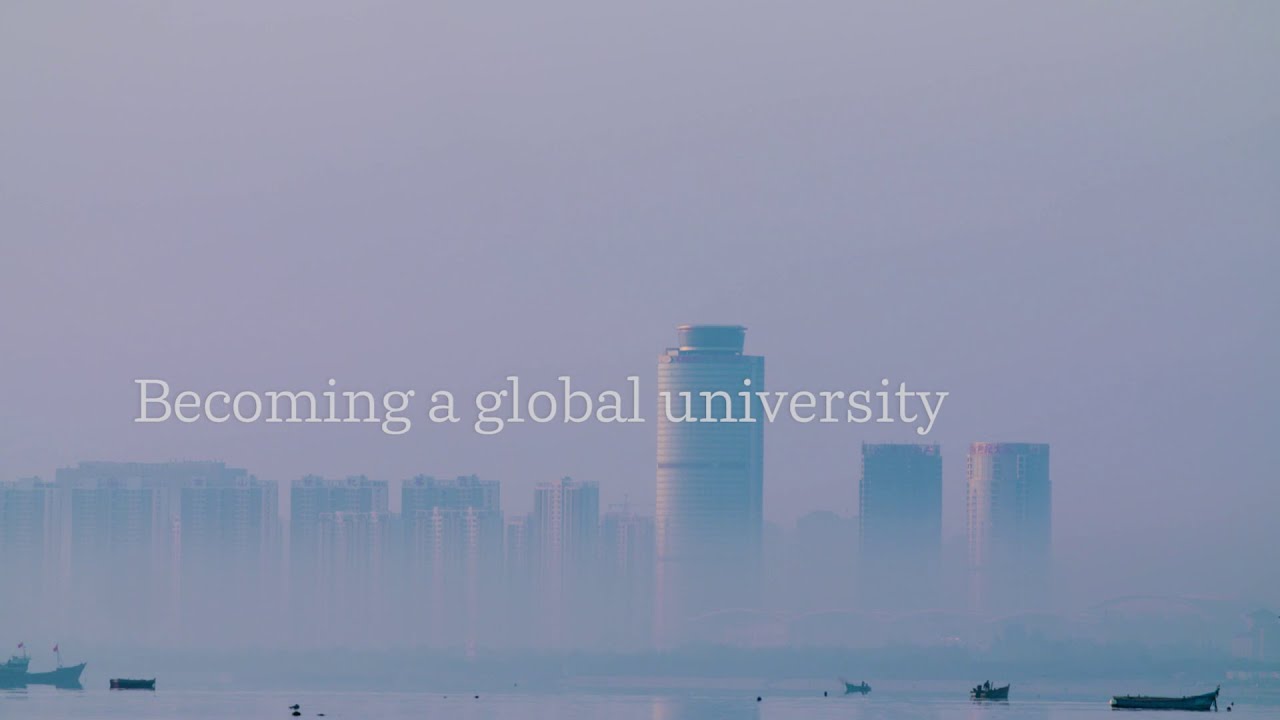 Becoming a global university