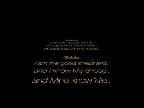 Ego Sum Pastor Bonus