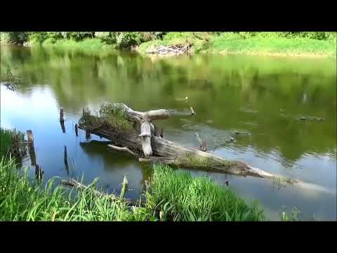 Włodawa - Spacer po mieście  -  Rzeka Bug, Granica z Białorusią