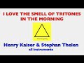 Henry Kaiser/Stephan Thelen - I Love The Smell Of Tritones In The Morning