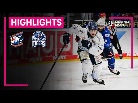 Adler Mannheim - Straubing Tigers | PENNY DEL | MAGENTA SPORT