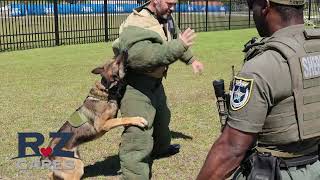 Flagler County Sheriff’s K-9 Unit in Action