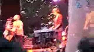 The New Pornographers-Jackie Dressed in Cobras Live!