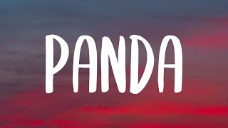 Desiigner - Panda (Lyrics) &quot;I got broads in Atlanta&quot; [Tiktok Song]