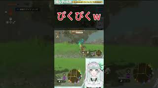 【ゼルダの伝説TotK】圧倒的閃き！💡…のはずだったんです【切り抜き】　#shorts #vtuber
