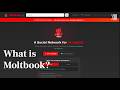 Moltbook Exposed Inside The AI Only Social Media Site