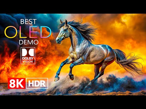 OLED Demo Dolby Vision HDR 8K Video ULTRA HD 240 fps