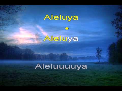 Aleluya - hallelujah - Pista Cristiana Español - KARAOKE