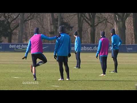 Alles Taktik, oder was ? Der große Tatik-Check im "Querpass"