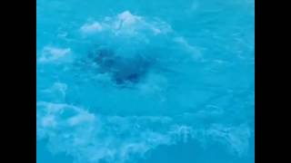 videos de risa  salto cómico en el agua