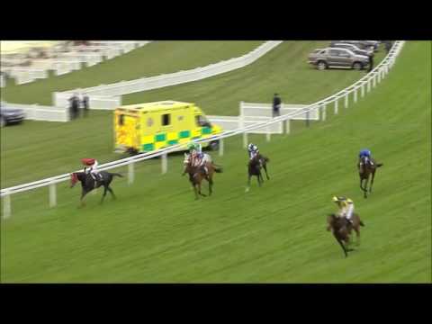 Prince of Wales's Stakes 2016 - My Dream Boat