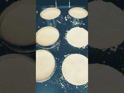 The Ancient Bread of Jamaica #jamaicanfood #foodfact #shorts