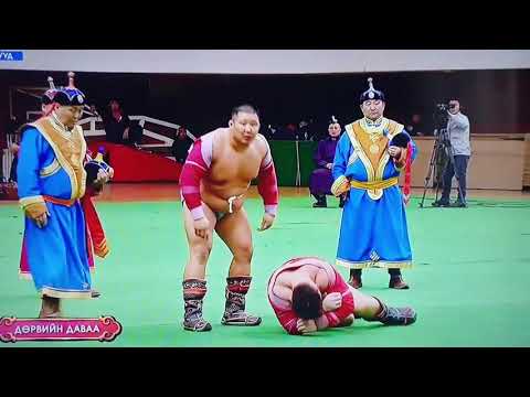 Монгол Улсын аварга Н.Батсуурь залуу бөхийг гэмтээх шахав