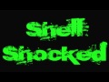 Shell Shocked- TMNT Lyric Video 