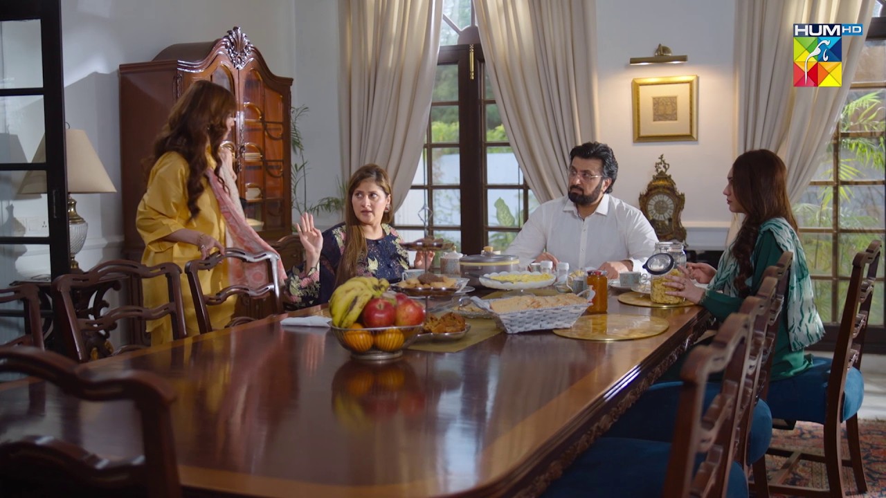 Koi Zaroorat Nahi Hai University Janay Ki Ghar Ke Kaam Karo... #ayedilazmanahi - HUMTV