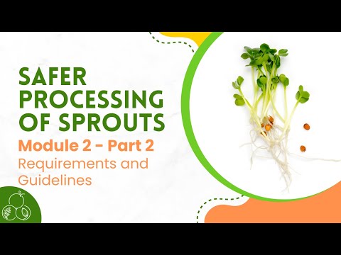 Sprouts: Module 2 | Requirements and Guidelines | Part 2