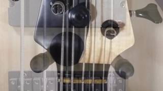 Video thumbnail for Fodera Yin Yang Standard 5 by FretSpot