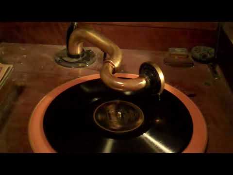 MANHATTAN DANCE MAKERS BEN SELVIN HARRY RESER - SHE'S DRIVIN' ME WILD - ROARING 20's VICTROLA 8-30