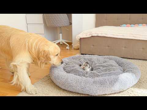 YouTube 썸네일