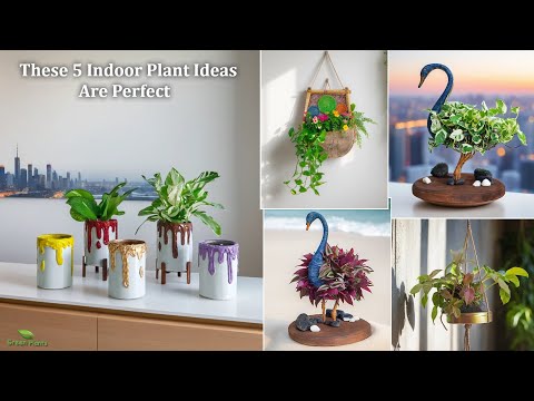 These 5 Indoor Plants Ideas Are Perfect for a Fresh Home Look | Easy & Low Maintenance//GREEN PLANTS