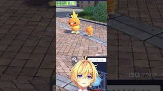 【#PokemonLegendZA #ポケモンZA】アチャモ の群れ 【Vtuber もちぴよ】