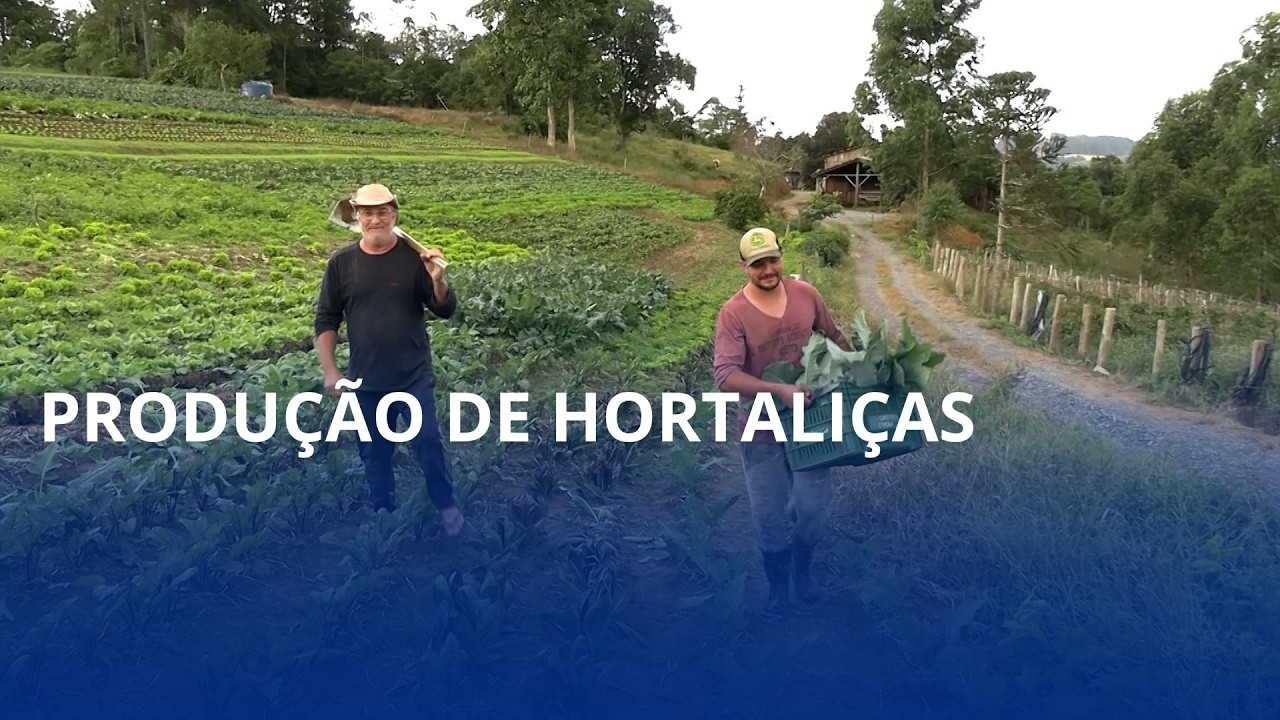 Da terra para a mesa: produtor de Rio do Sul colhe diversidade e qualidade
