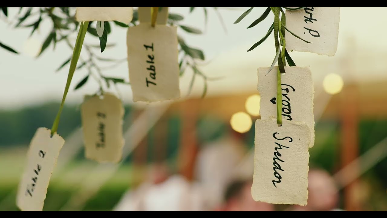 TWILIGHT TREES - Wedding