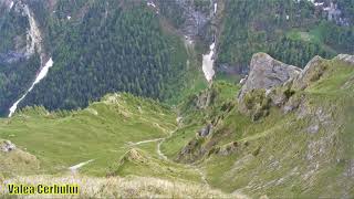 Acces spre Ace pe Vâlcelul Țancurilor și Valea Poienii superioară