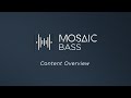 Video 2: Mosaic Bass - Content Overview