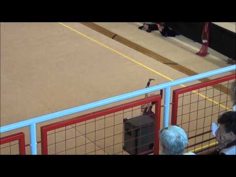 Heibl Eszter megyei DO.wmv