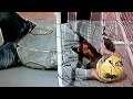 Qsvs Milan Juve 1 1 Moviola Muntari Goal O Non Goal Goal Netto 25 02 2012