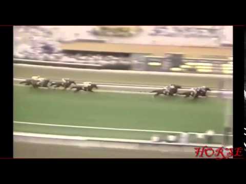 1989 Oak Tree Invitational Handicap   Hawkter