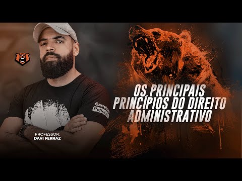 Os Principais Princípios do Direito Administrativo